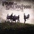 Pain Of Salvation – Falling Home